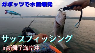 サップで沖に出てシーバスを釣る！！【GOTURE　サップフィッシング】