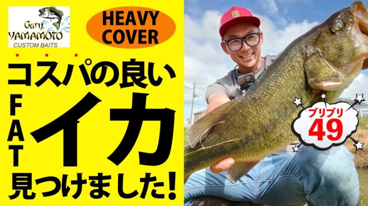 【ファットイカ】コスパの良いイカ「HEAVY COVER」を購入したので、実釣レビュー！八郎潟でブリブリ49センチ バス釣り