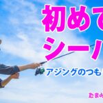 【初めてのシーバスHIT！】アジング10匹挑戦中に。