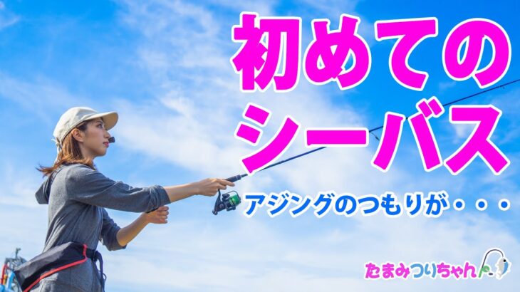 【初めてのシーバスHIT！】アジング10匹挑戦中に。