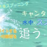 バイトシーン丸見え!!夏の表層スプーニング【狩野祐太さん】【アングラーズエリアHOOK】