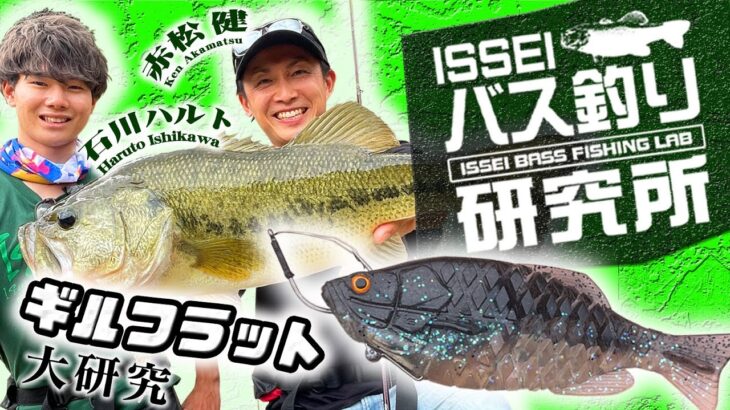 【イッセイISSEIバス釣り研究所】ギルフラット大研究【赤松健＆石川ハルト】