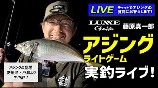 【LIVE】藤原真一郎が解説「アジング・ライトゲーム実釣ライブ」in 愛媛県・戸島