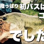 【バス釣り】ブラックバスの本拠地で陸っぱり　　　RAID フルスイング