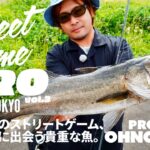 Street Game PRO in TOKYO｜大野プロのストリートゲーム、東京の昼に出会う貴重な魚。