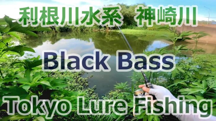 東京ルアー釣り、神崎川 ブラックバス 利根川水系 (Tokyo Lure Fishing, Bass, 黑鱸)