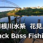 東京ルアー釣り、花見川 ブラックバス 利根川水系 (Tokyo Lure Fishing, Bass, 黑鱸)