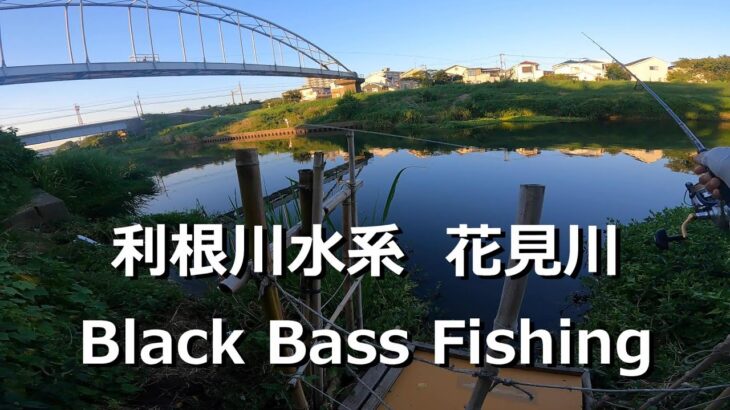 東京ルアー釣り、花見川 ブラックバス 利根川水系 (Tokyo Lure Fishing, Bass, 黑鱸)