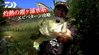 佐々木勝也 灼熱の霞ヶ浦水系エビパターン攻略｜Ultimate BASS by DAIWA Vol.477