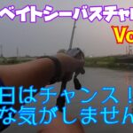 【ビッグベイトシーバスチャレンジ Vol,39】雨後はチャンスと思い行ってはみたものの…