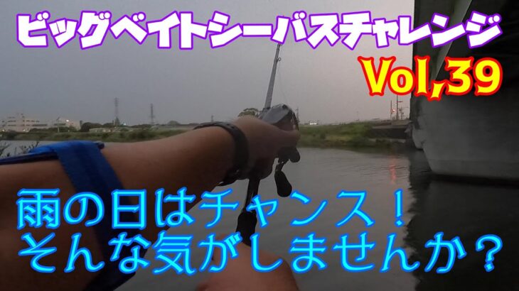 【ビッグベイトシーバスチャレンジ Vol,39】雨後はチャンスと思い行ってはみたものの…