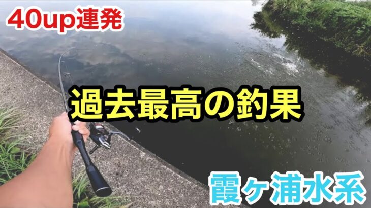 自分史上最も釣れた日in霞ヶ浦水系【バス釣り】