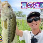 （バス釣り）夏の数釣りin近藤沼！DAY2