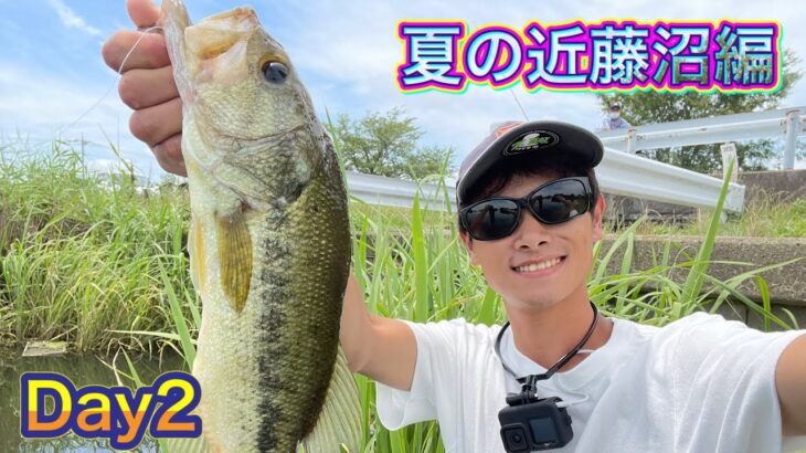 （バス釣り）夏の数釣りin近藤沼！DAY2