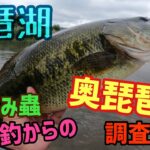 やっぱ琵琶湖の夏は沈み蟲！ハイシーズンの奥琵琶湖オカッパリ調査！メンバー全員で夏の琵琶湖でデカバス狙いのバスフィッシング！一誠-issei-沈み蟲はアシ際のバスを引きずり出す！【琵琶湖バス釣り】