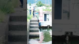 琵琶湖でバス釣り中に起こった事件。犯人は逮捕　#shorts