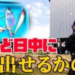 夏のど日中でも絶対釣ってやる！！！【大江川】【バス釣り】