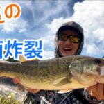 【バス釣り】真昼間の府中湖！デプスのあのワームで水面炸裂しました！