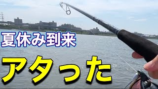 【デイゲーム】夏の河川でシーバス釣り。一回アタったけど…