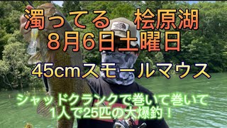 濁った桧原湖でクランクベイト・シャッドクランク巻いてみな！