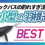 【バス釣り】小型の羽根モノ！鬼釣ルアーを紹介【トップウォーター】