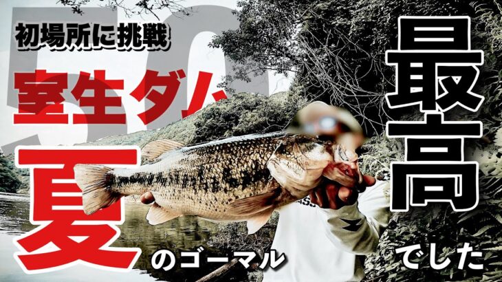 【バス釣り】真夏の室生ダムに関東の人間が初挑戦してきた