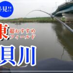 霞ヶ浦水系からもアクセスしやすい‼　関東おすすめバス釣りフィールド【小貝川】