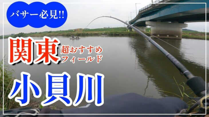 霞ヶ浦水系からもアクセスしやすい‼　関東おすすめバス釣りフィールド【小貝川】