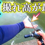 夏の琵琶湖を四人がかりで攻めたら撮れ高がチャンネル史上最高やった【バス釣り】