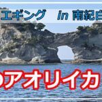 南紀白浜で秋イカエギング