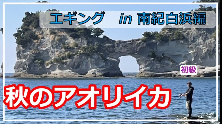 南紀白浜で秋イカエギング