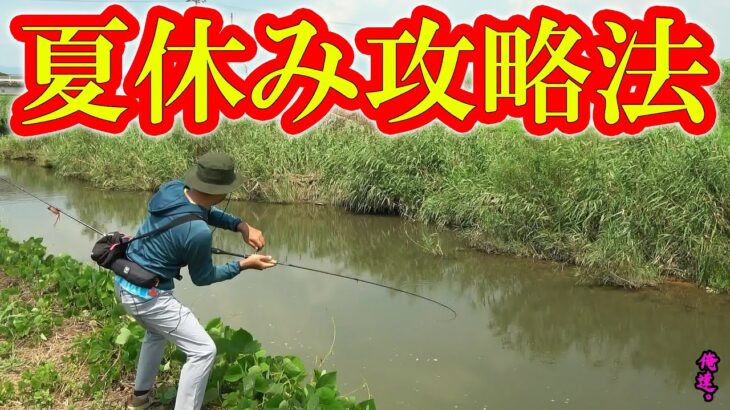 真夏に岸から釣る方法はコレ！【琵琶湖】