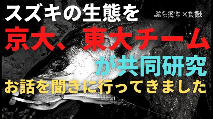 【スズキの生態】京大と東大チームが共同研究！お話聞いてきました【山下教授と対談】