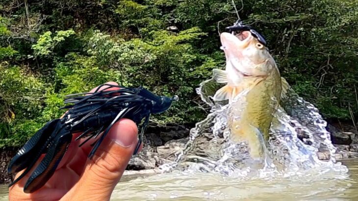 絶望的状況の超濁った水から魚を釣りたいなら使うルアーはこれです。