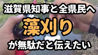 琵琶湖でバスが釣れない理由