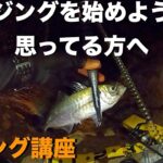 【アジング】ちょっとしたコツを知っている人はそれ程多く居ないと思います