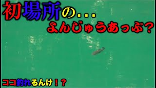 【バス釣り】初場所での…よんじゅうあっぷ…か？