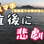 【デイシーバス？】真夏のとある日円盤二発！強烈な引きにご注意ください。