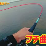 シーバスを求めて！ブチ曲がりでかかったのはあの魚！