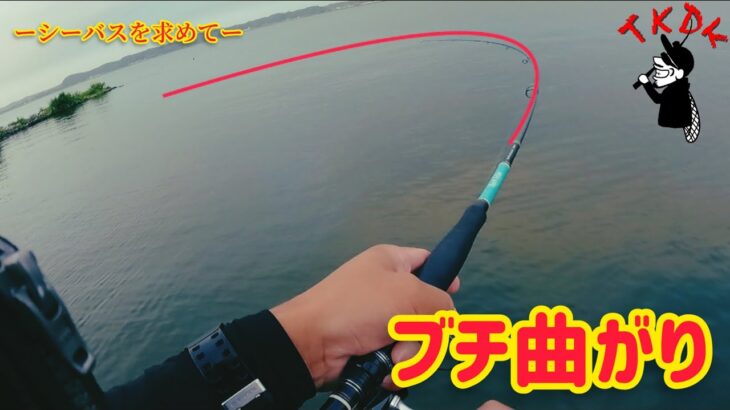 シーバスを求めて！ブチ曲がりでかかったのはあの魚！