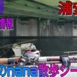 旧江戸川散歩シーバスフィッシング！風が強いがなんとか行ける！？