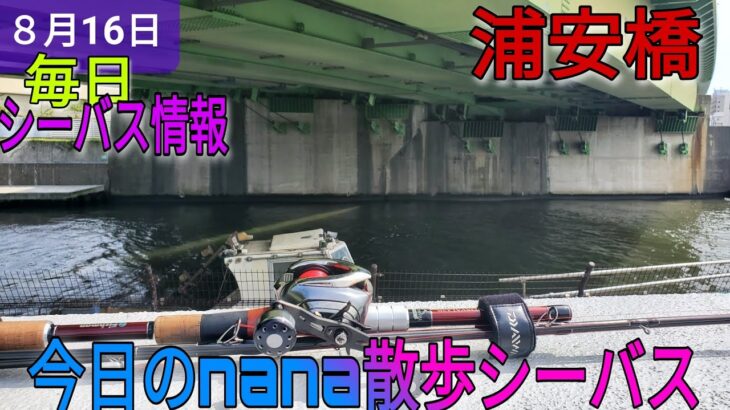 旧江戸川散歩シーバスフィッシング！風が強いがなんとか行ける！？