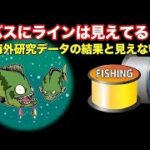 ブラックバスにラインは見えているのか？色付きラインはあり？釣れるカラーは？【バス釣り】