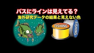 ブラックバスにラインは見えているのか？色付きラインはあり？釣れるカラーは？【バス釣り】