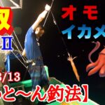 【オモリグ】【イカメタル】鳥取でイカ釣りしてきました