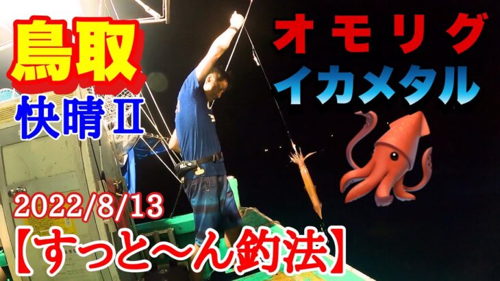 【オモリグ】【イカメタル】鳥取でイカ釣りしてきました