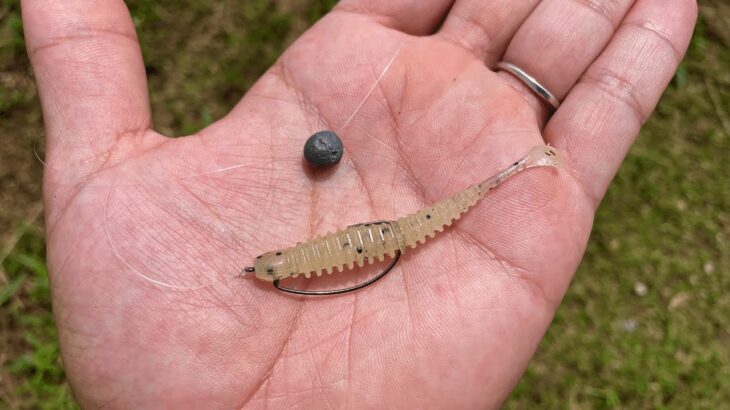 超初心者の方でも簡単にバスが釣れる方法を実釣しながら解説します「バス釣り」「野池」