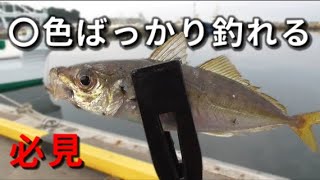 【サビキ釣り】アジはピンクと白どっちが釣れるのか検証したら驚愕の結果に！サビキファン全員必見！