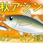 【秋アジングのポイント】最高の季節到来！始めるなら今がチャンス！