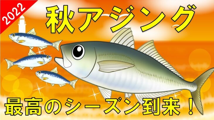 【秋アジングのポイント】最高の季節到来！始めるなら今がチャンス！